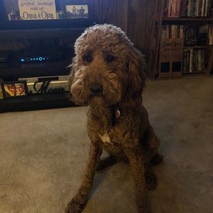 Meet your Posher, April